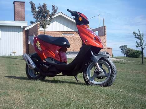 PGO Tornado - Solgt billede 3