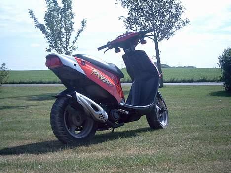 PGO Tornado - Solgt billede 4