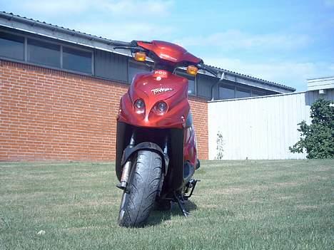 PGO Tornado - Solgt billede 5