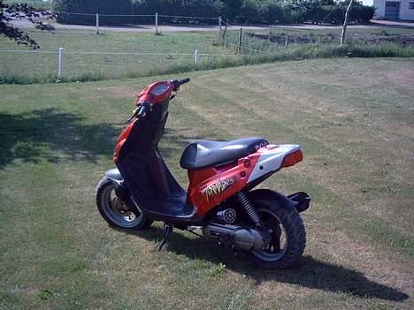 PGO Tornado - Solgt billede 6