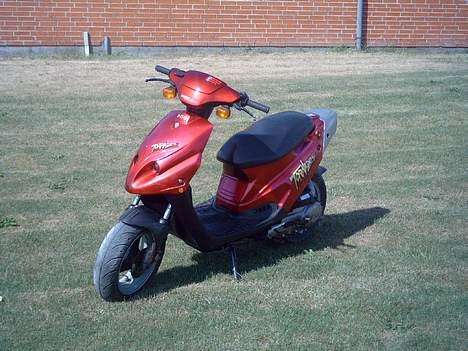 PGO Tornado - Solgt billede 7