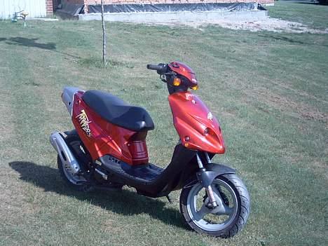 PGO Tornado - Solgt billede 8