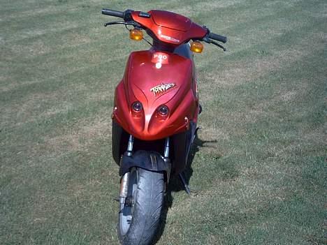 PGO Tornado - Solgt billede 12