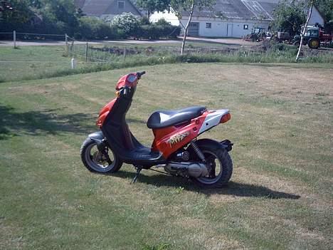 PGO Tornado - Solgt billede 13