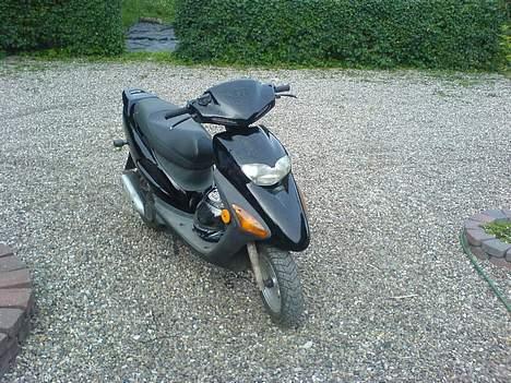 Honda SFX - Før billede 1