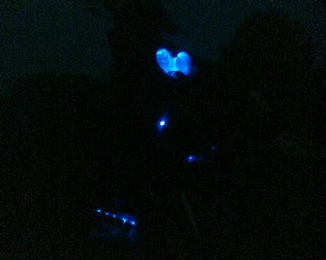 PGO                    hot 50 billede 8