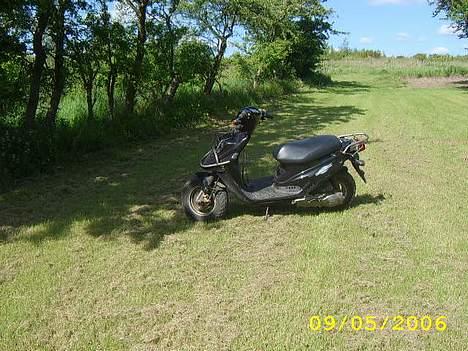 PGO hot50  billede 15