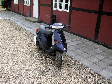 PGO comet Solgt. - Ja det er så min dejlige hund Marco i bagrunden. billede 1