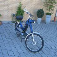 Puch Maxi P (SOLGT)