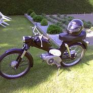 Puch ms50