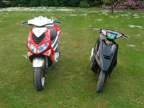 Peugeot Rally Victor *DK FØRSTE* - siden om siden... billede 9