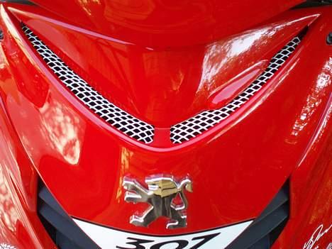 Peugeot Speedfight 2 WRC 307  billede 10