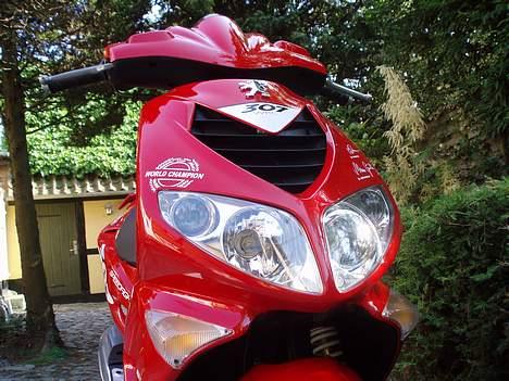 Peugeot Speedfight 2 WRC 307  billede 11