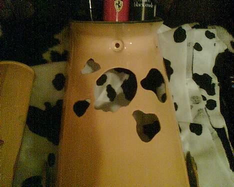 Yamaha Passola/hot billede 9