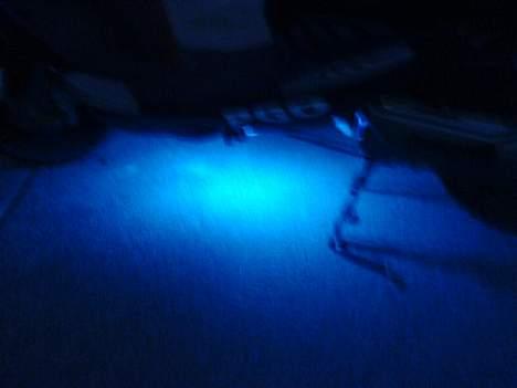 PGO Dr. Big - Neon på den billede 9