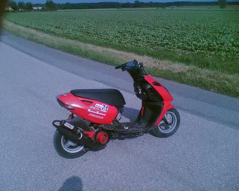 Aprilia Sonic - Nyeste billed . skal lige have sat de sidste skjolde på . !  billede 2