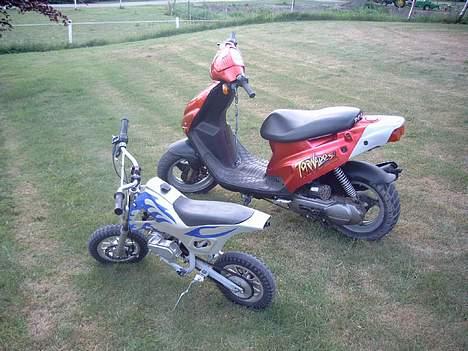 PGO Tornado - Solgt billede 14