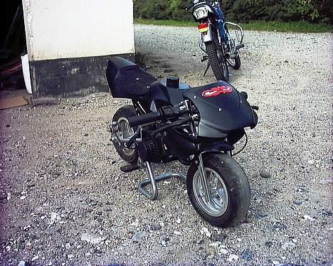 MiniBike daytona    Solgt billede 1