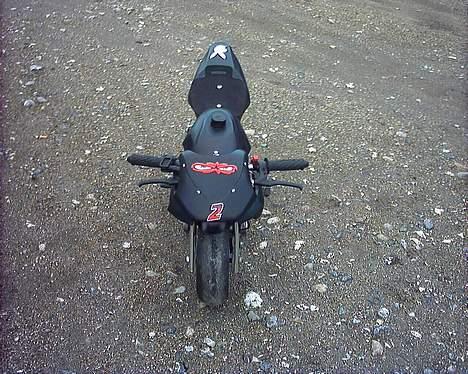 MiniBike daytona    Solgt billede 6