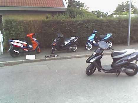 Honda SFX - Det min der holder på vejen .. Det var da den var smadret.. og lavet en lille smule.. Trist billede 9