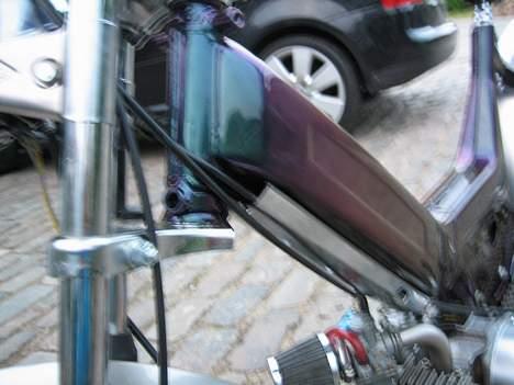 Puch maxi - KAMELION! se den!  billede 5