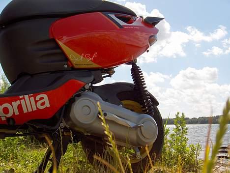 Aprilia sonic GP SBK solgt - bemærk det stille vand i baggrunden...;) billede 9
