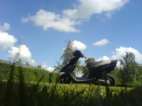 Honda Sfx Solgt billede 10