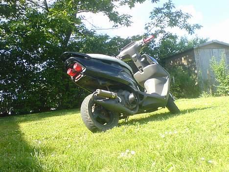 Honda Sfx Solgt billede 12