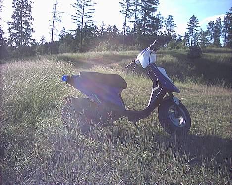 PGO hot 50 stjålet billede 3