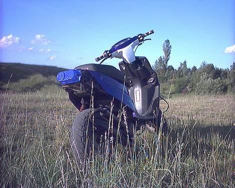 PGO hot 50 stjålet billede 4