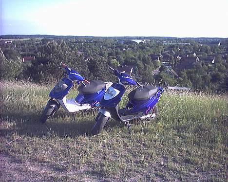 PGO hot 50 stjålet billede 5