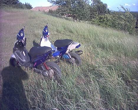 PGO hot 50 stjålet billede 6