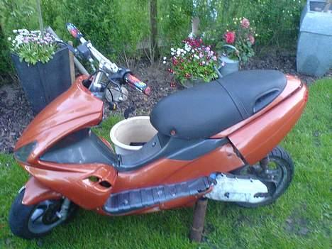 Benelli 491 Solgt billede 1