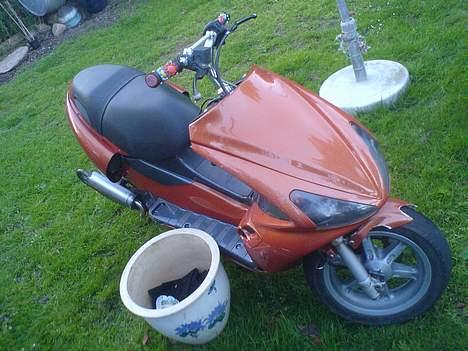 Benelli 491 Solgt billede 2