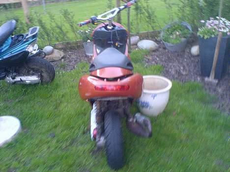 Benelli 491 Solgt billede 5