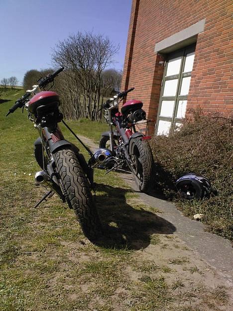 Sachs -|- MadAss -|- billede 10