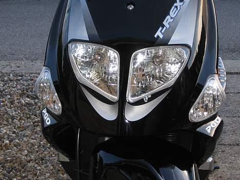 PGO T-REX 110 **STJÅLET** billede 2