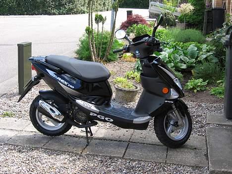 PGO T-REX 110 **STJÅLET** billede 4