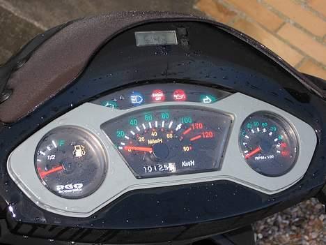 PGO T-REX 110 **STJÅLET** billede 5