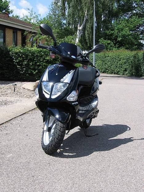 PGO T-REX 110 **STJÅLET** billede 7