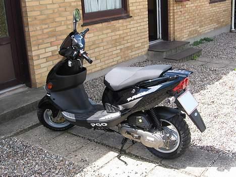 PGO T-REX 110 **STJÅLET** billede 8