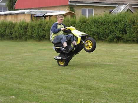 Gilera stalker  billede 11