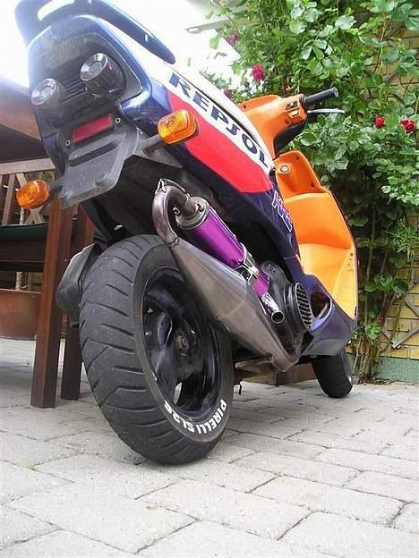 Honda SFX - Sødt billed hehe billede 15