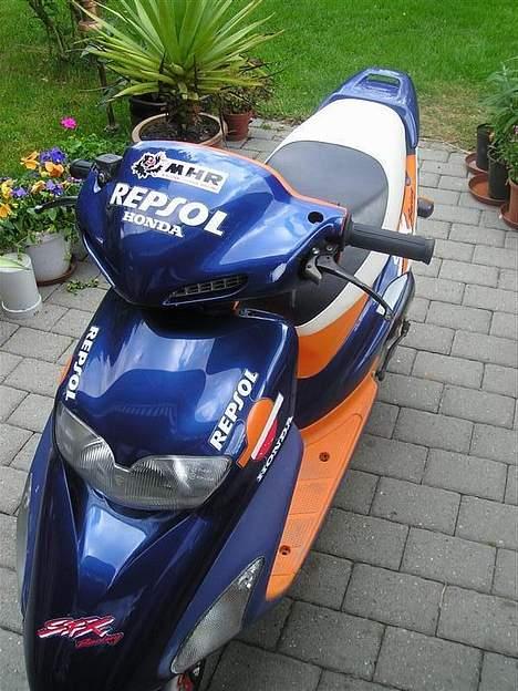 Honda SFX billede 18