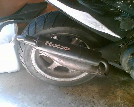 Benelli 491 "TIL SALG" billede 10