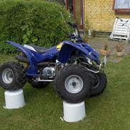 Honda ATV 110 ccm