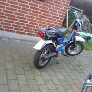 Suzuki FZ50 [SOLGT]