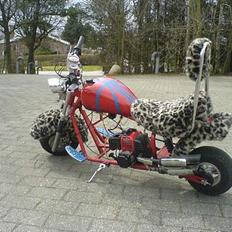 MiniBike chopper