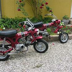Honda dax