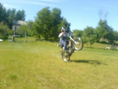 Puch Maxi 2 gear - På baghjul... billede 3